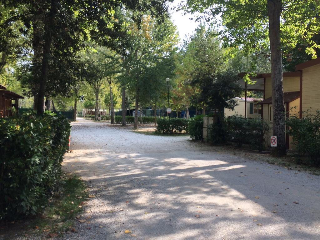 Campeggio Boscoverde Torre del Lago Puccini Εξωτερικό φωτογραφία