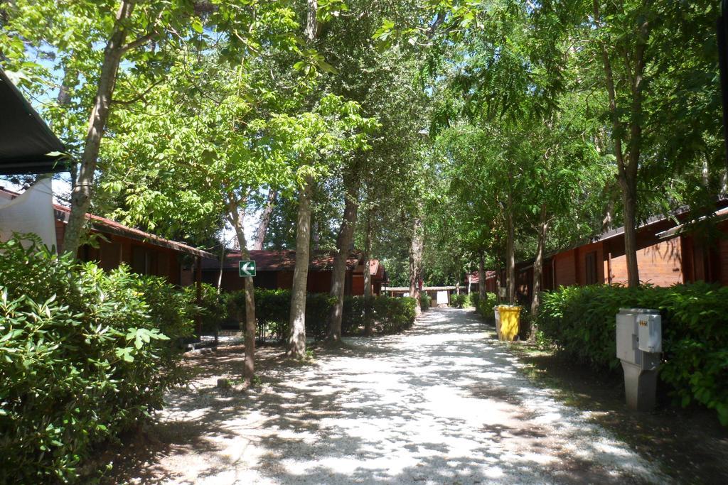 Campeggio Boscoverde Torre del Lago Puccini Εξωτερικό φωτογραφία