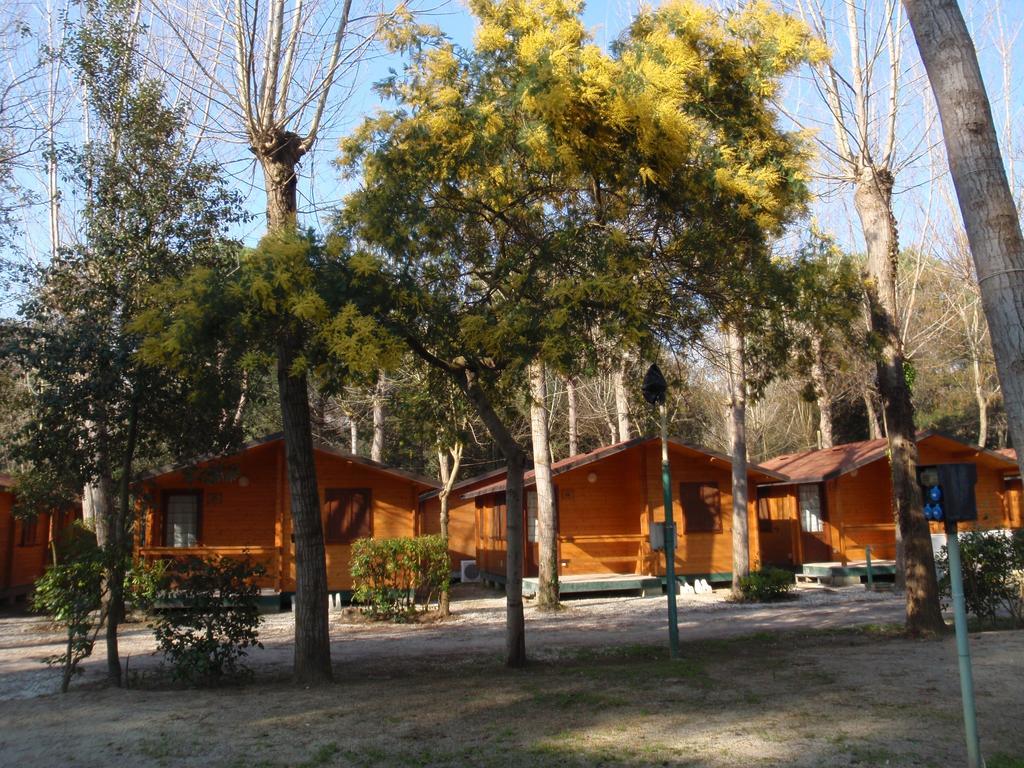 Campeggio Boscoverde Torre del Lago Puccini Εξωτερικό φωτογραφία