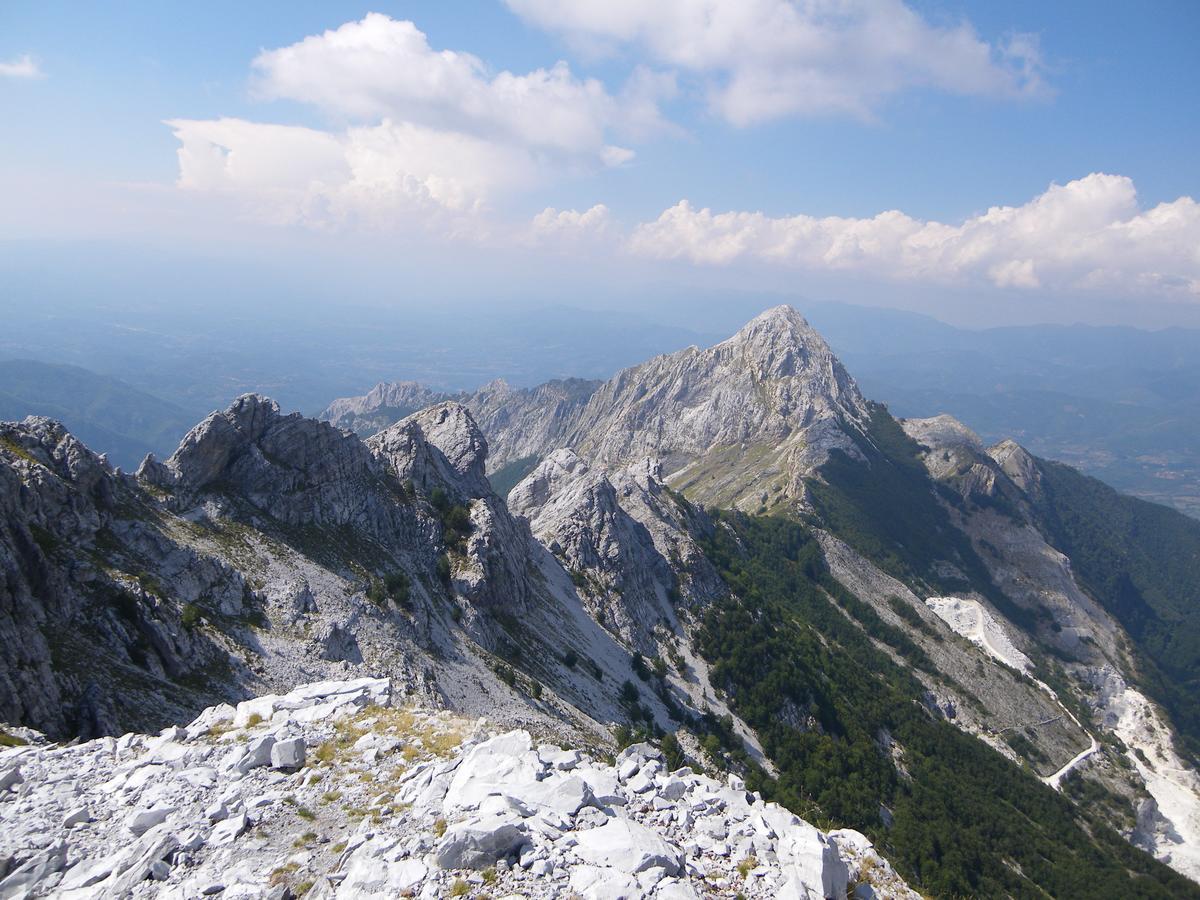 Campeggio Boscoverde Torre del Lago Puccini Εξωτερικό φωτογραφία
