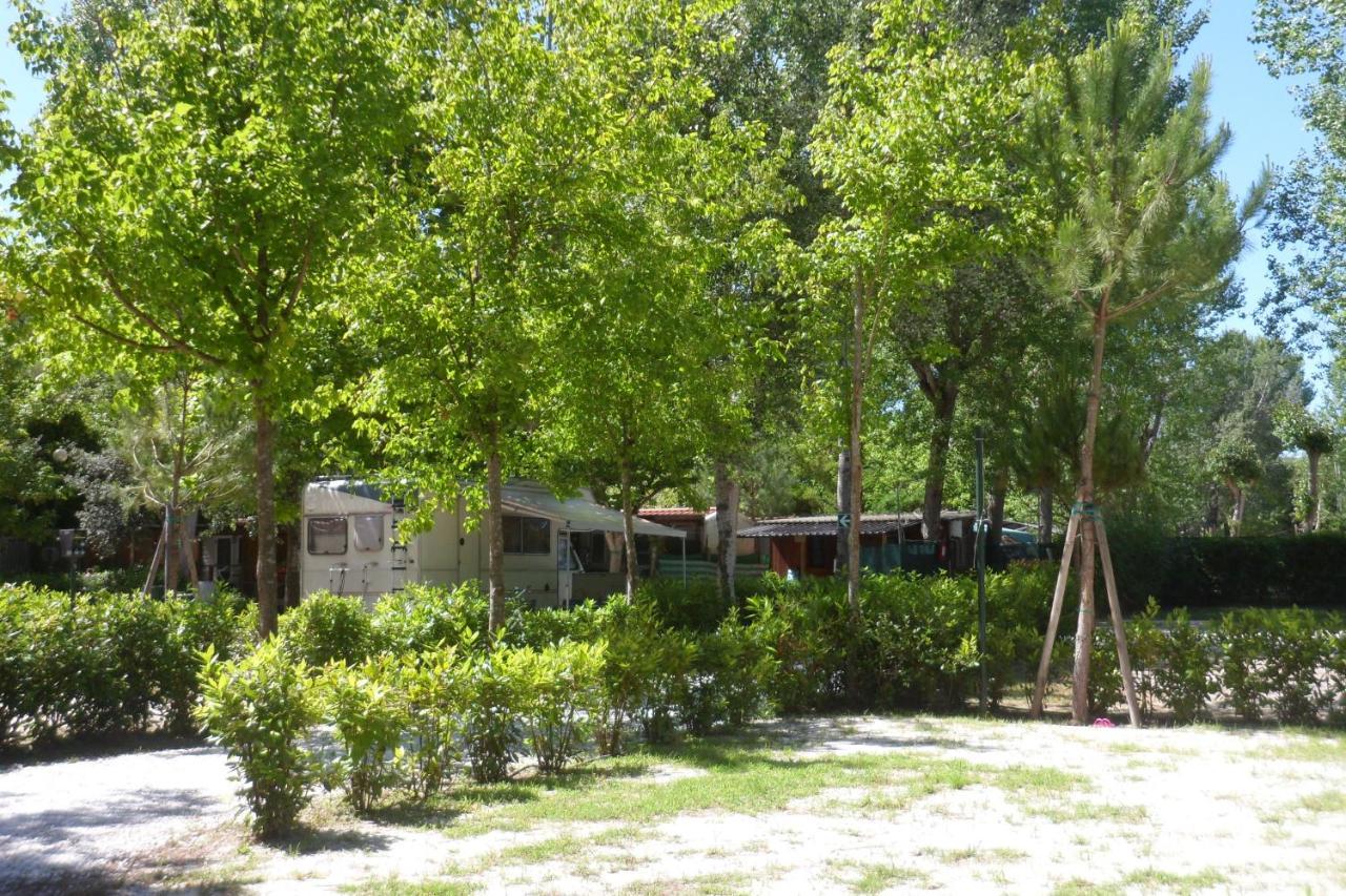 Campeggio Boscoverde Torre del Lago Puccini Εξωτερικό φωτογραφία