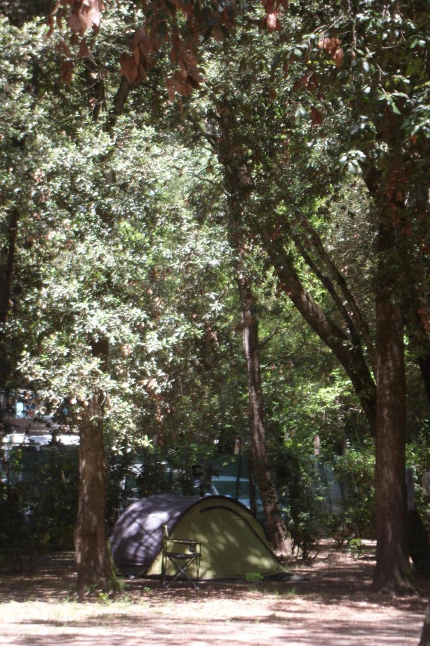 Campeggio Boscoverde Torre del Lago Puccini Εξωτερικό φωτογραφία